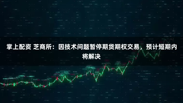 掌上配资 芝商所：因技术问题暂停期货期权交易，预计短期内将解决